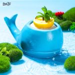 Nature Image