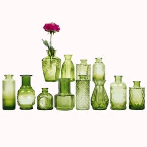 סט אגרטל ניצנים מובלט בן 12 חלקים - ירוק 1