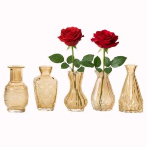 סט אגרטל ניצני ענבר בן 5 חלקים 1