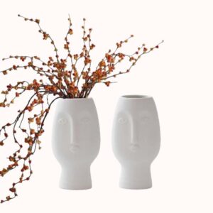 סט של 2 אגרטלי אמנות מופשטת מחרס 1