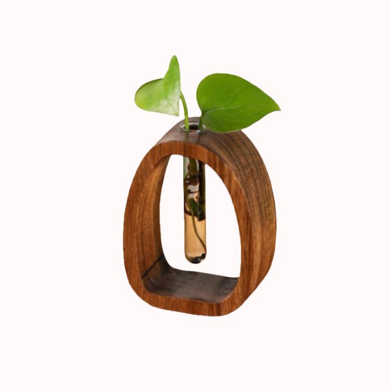 אגרטל הידרופוני במסגרת עץ אובלית &ndash; קטן 1