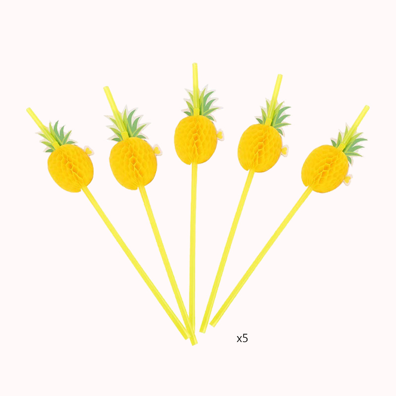 קשית אננס תלת מימדית - 25 יח 1