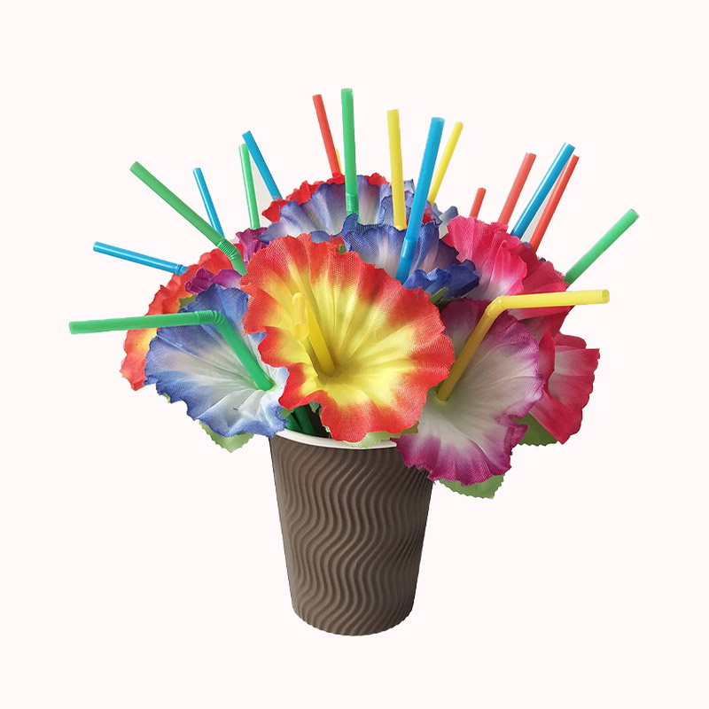 קשיות פרח הוואי - 25 יח 1