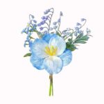 Nature Image