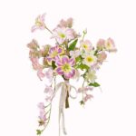 Nature Image