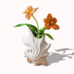 Nature Image